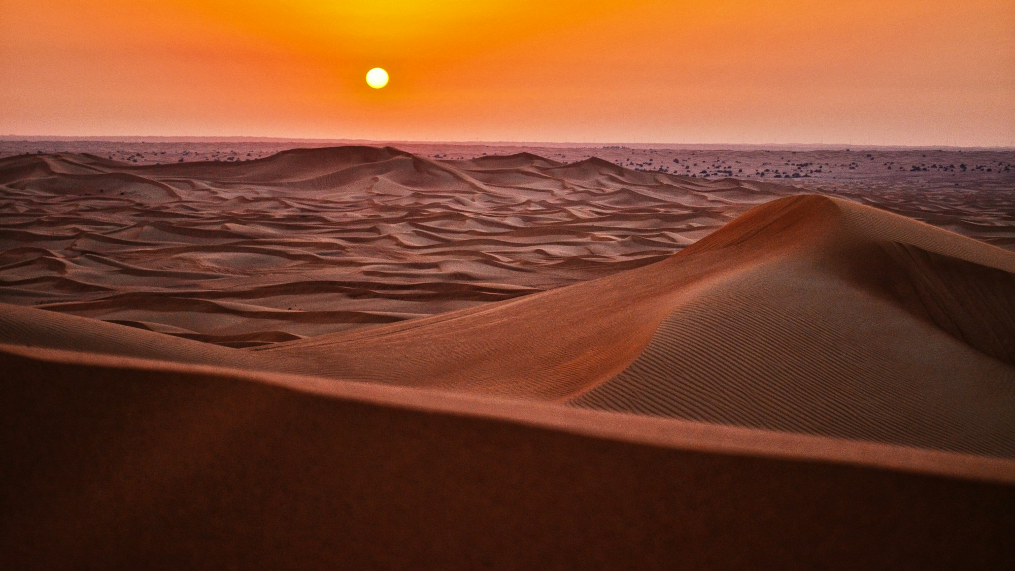 Sahara dunes at sunset